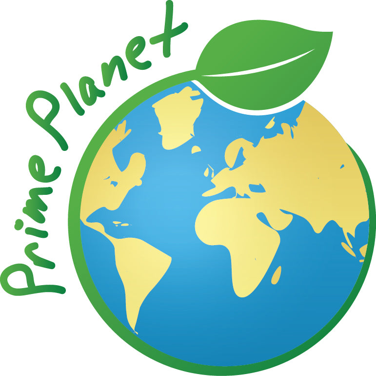 What is PRIME PLANET?